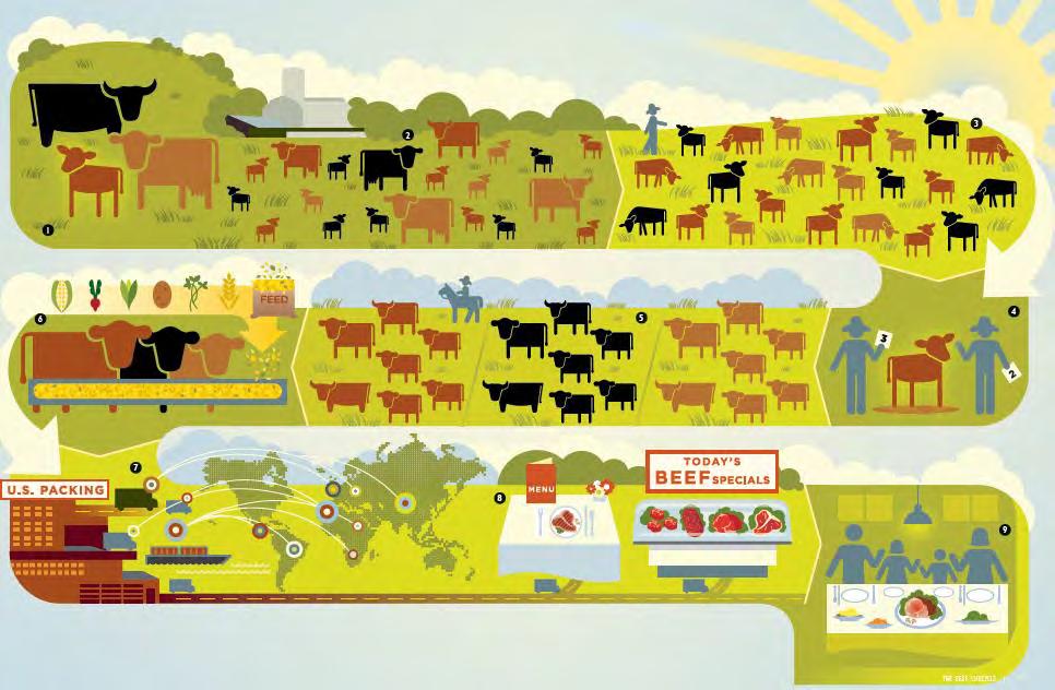 Key to Success MUST HAVE involvement from every partner in the beef supply chain to reach consumers and provide the facts