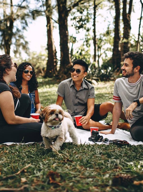 Community Value Non-dog owners will love that they rarely encounter pet waste. Dog owners enjoy special benefits when they register pets: Generate revenue and increase NOI through pet registrations.