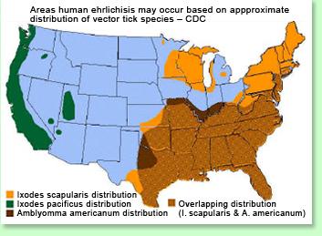 Ehrlichiosis (Anaplasmosis) Seasonal Distribution of ehrlichiosis in the United States Number of reported cases by year Babesiosis Caused by Babesia microti