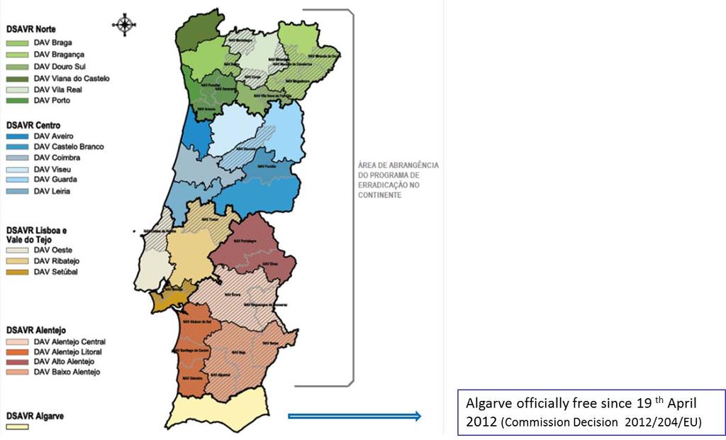 Figure 5. Organisation of the Regional Food and Veterinary Departments (DSAVR) in Portugal mainland.