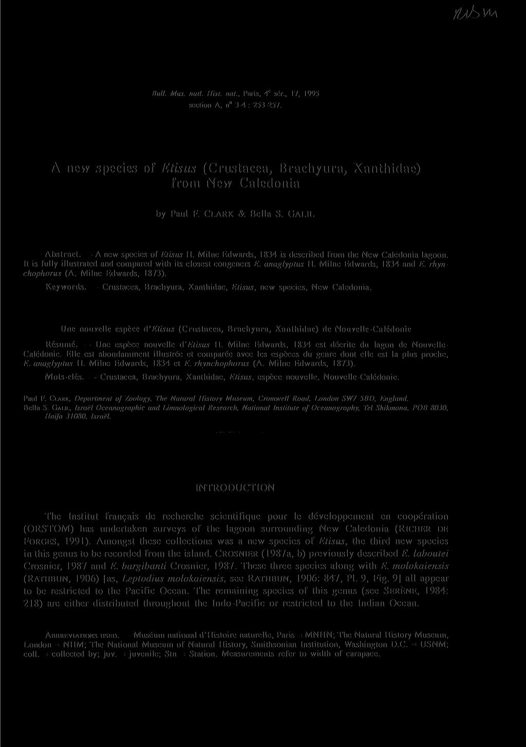 Bull. Mus. natl. Hist, nat., Paris, 4 e ser., 17, 1995 section A, n 3-4 : 253-257. A new species of Etisus (Crustacea, Brachyura, Xanthidae) from New Caledonia by Paul F. CLARK & Bella S.