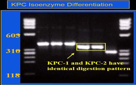 present Molecular detection of resistance genes Nucleic acid amplification tests (NAAT); Polymerase chain reaction