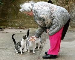 CAREGIVER (cont) When veterinary care is not possible, and an animal is suffering, humane euthanasia is appropriate.