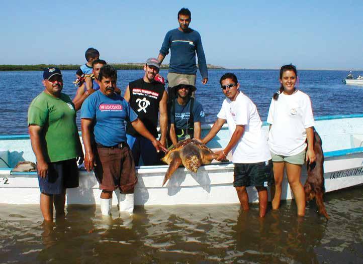Council funding supported a portion of activities carried out by Proyecto Caguama (implemented by ProPeninsula), which aimed to raise awareness of sea turtle bycatch, harvest and mortality issues