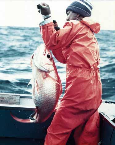 WHEN THE MSA was enacted in 1976, the Council began the task of developing plans for the conservation and management of fishery resources within the 200 nautical mile zone that would later become the