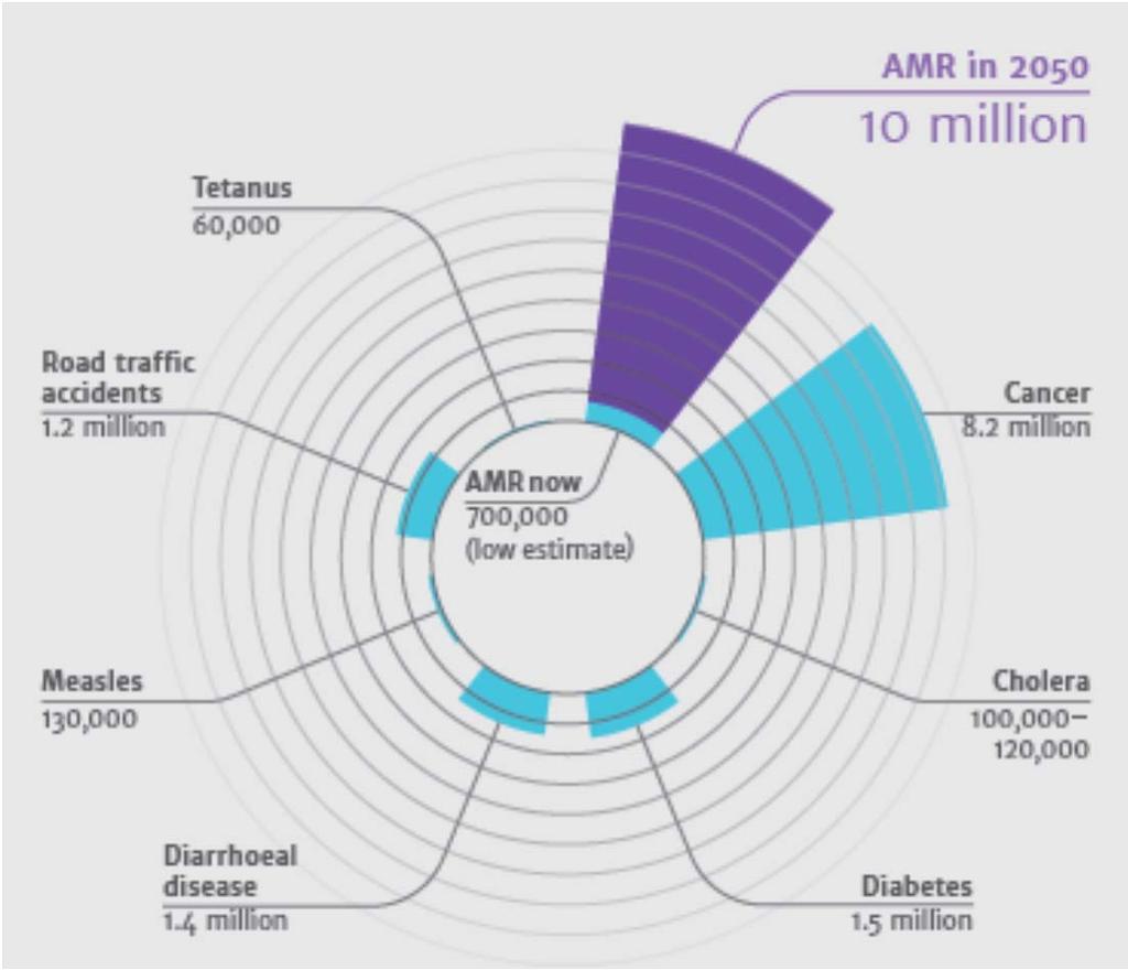 1 1 Situation on AMR1 Combatting AMR is a major and global issue Unless action is taken, the burden of death from AMR could balloon to 10 million lives each year.