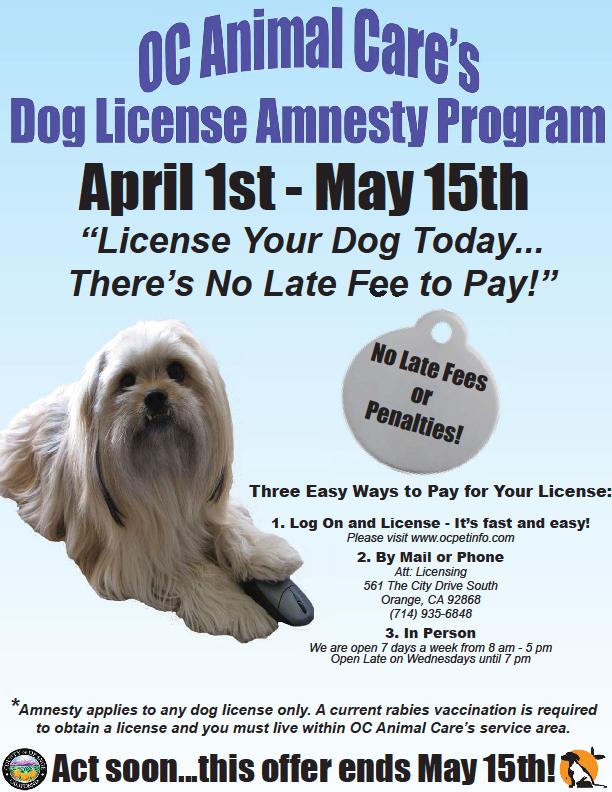 Dog License Amnesty Program 45 Day Period Heavily Promoted Various Media (TV, Print, Radio) All Contract Cities Promoted City Cable Channels City Websites Icons linked directly to OC Animal Care s