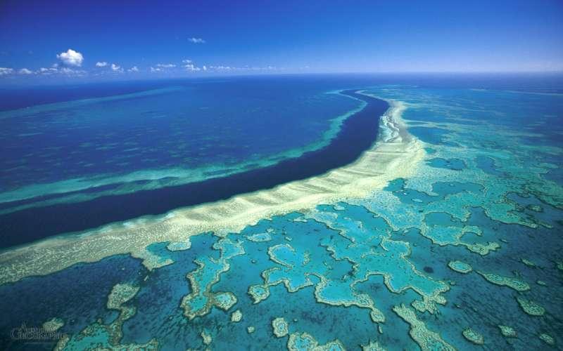 Barrier Reef runs