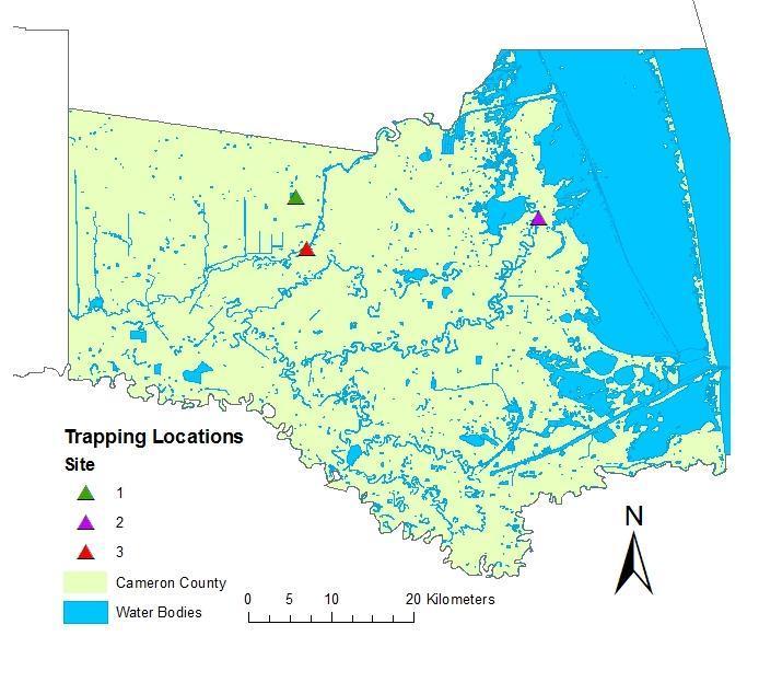 Figure 5. Turtle trap locations in Cameron County based on Grosmaire (1977). Trapping effort at all 3 Cameron County 1976 sites was replicated in late spring 2009.