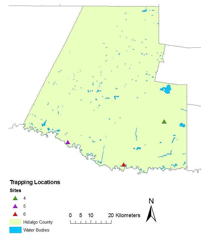 Figure 6. Turtle trap locations in Hidalgo County based on Grosmaire (1977). Trapping effort at the 3 Hidalgo County 1976 sites was replicated in late spring 2009.