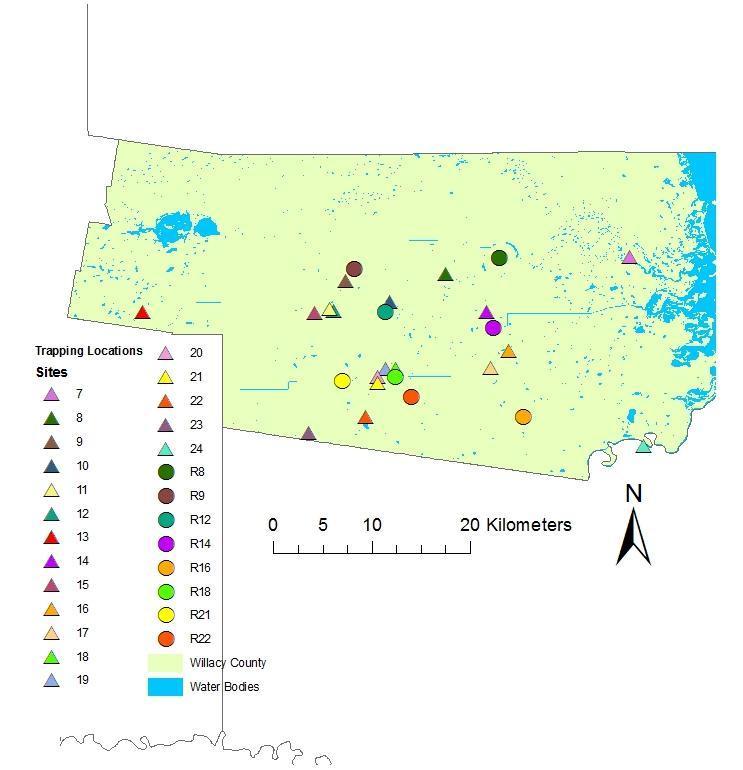 Figure 7. Turtle trap locations in Willacy County based on Grosmaire (1977). Trapping effort at the 18 Willacy County sites 1976 was replicated in late spring 2009.