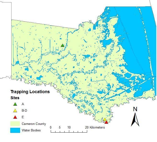 Figure 8. Turtle trap locations in Cameron County based on Brown (2008).