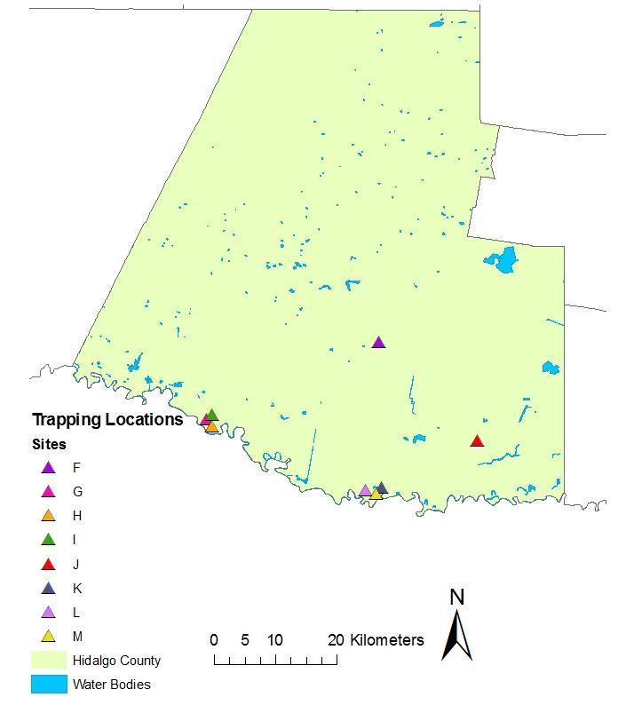 Figure 9. Turtle trap locations in Hidalgo County based on Brown (2008). Trapping effort of the 4 Hidalgo County 2008 locations was replicated in late spring 2009.