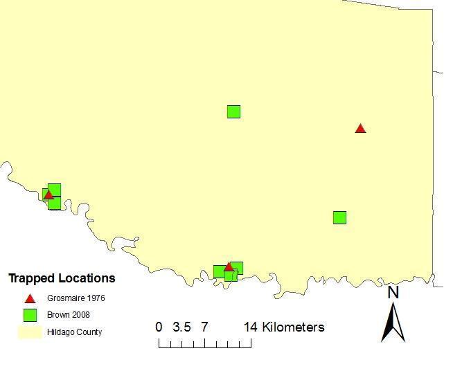 Figure 12. Comparison of Hidalgo County trap locations of Grosmaire (1977) and Brown (2008). In 2008, Brown s replication of Grosmaire s study allotted trapping of 2 original sites.