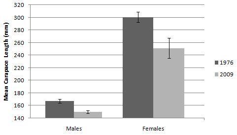 Figure 16. Comparison of the mean carapace lengths of adult male and female Texas spiny softshells between 1976 and 2009. The mean male carapace length (166.86 ± 14.