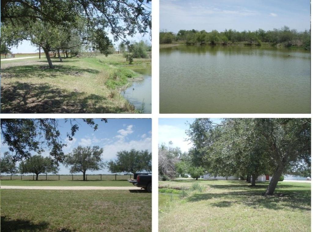 71 Replace 8: (Willacy County: N26.50290, W097.60829) Private pond owned by Dale and Dane Rhodes.