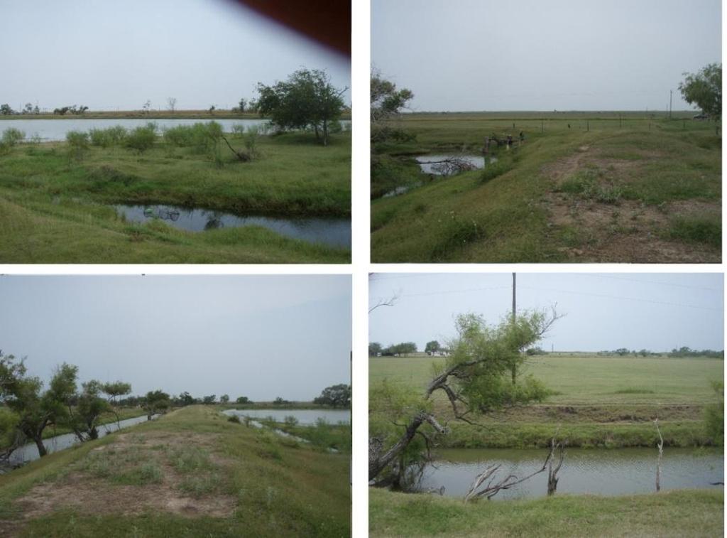 Site 10: (Willacy County: N26.46308, W097.70819) Private pond owned by Gary White.