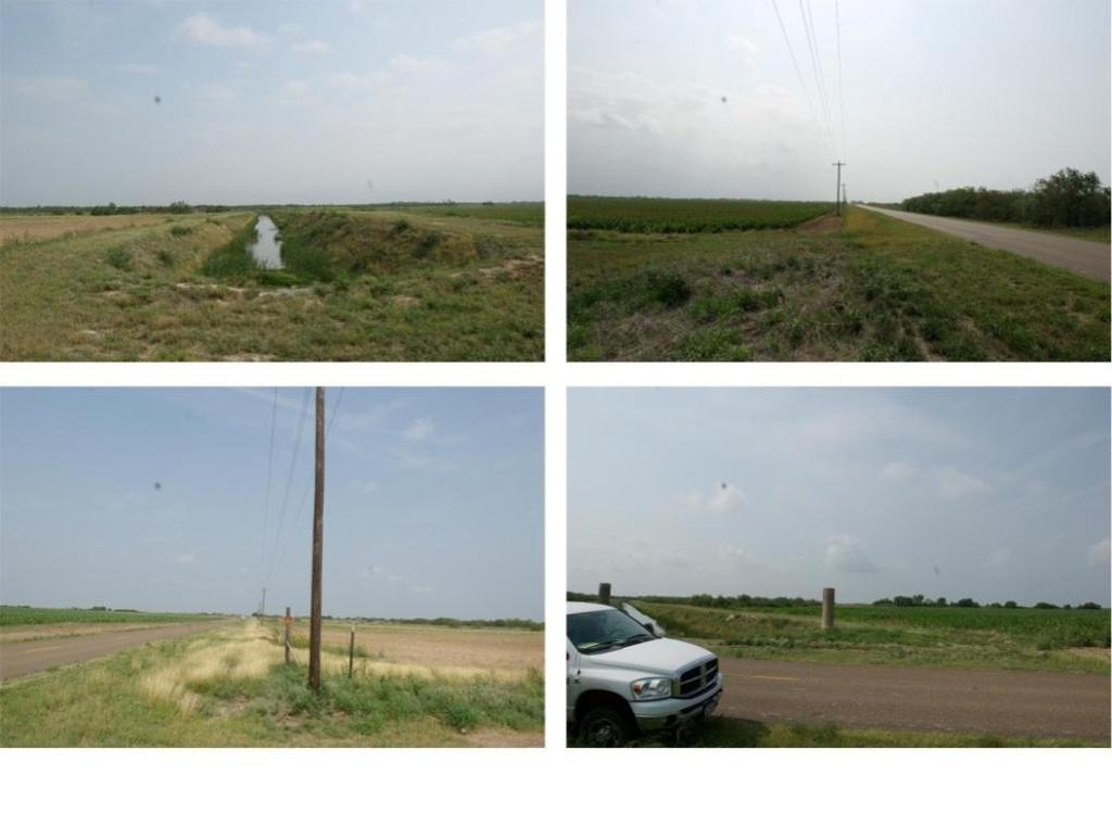 Surrounded by agricultural matrix. Site 13: (Willacy County: N26.45341, W097.