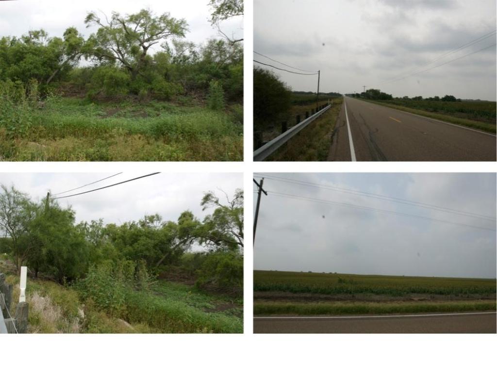 78 Site 18: (Willacy County: N26.40108, W097.70241) Private pond.