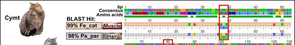 CHAPTER 2: DNA BARCODING Figure 9.
