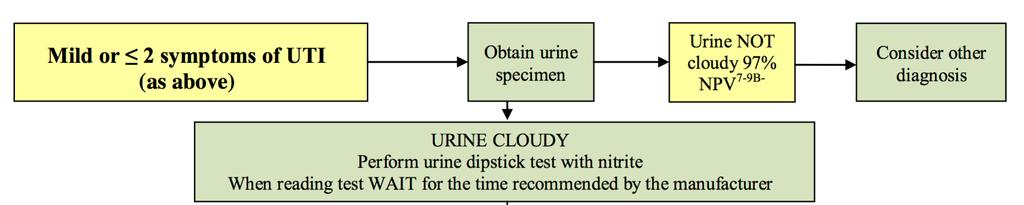 Urine transparency as an index of absence of infection.