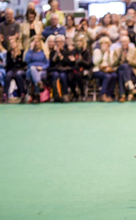 What we do to... Promote Dogs Crufts We organise and manage Crufts, the world s greatest dog show, which welcomed a record attendance of 162,065 over four days in March 2017.