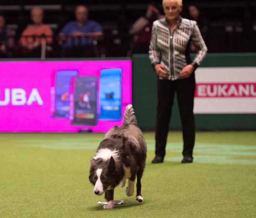 Around 26,500 dogs took part in many activities at the event, which was broadcast across four nights on Channel 4 with the remaining coverage on More4.