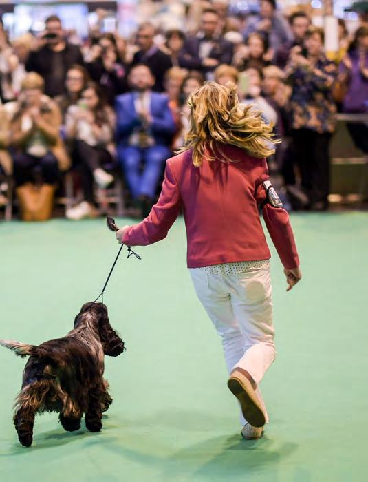 The 2016 event, which is title-sponsored by Eukanuba, was the 21st in the show s history and the