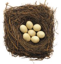 Some birds use twigs, leaves, and grass to make nests.