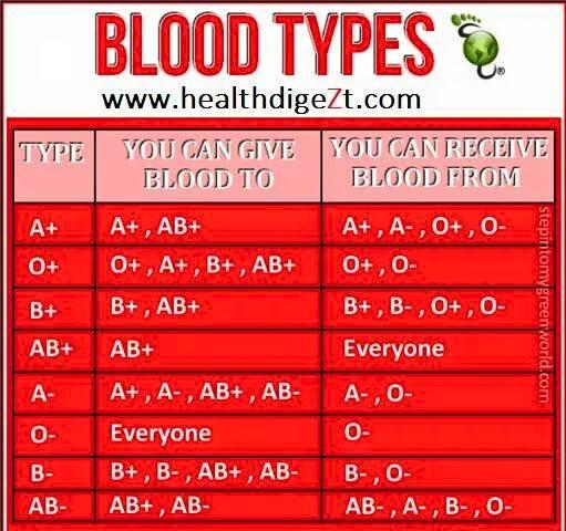Blood Types Blood Group A B AB O Possible
