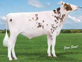 15 51% CALVING 35 55% Calving iff. +4.20 56% Gestation -3.30 65% BEEF - 11 36% HEALTH 7 49% MAINTENANCE - 3 35% MANAGEMENT 3 41% FR4343 R G Aladdin-Red HB No: 63000573341225 ource: UK aaa: 432 OB: 31.