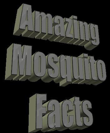 Depending on temperature, a mosquito can develop from egg to adult in as little as 4 to 7 days.