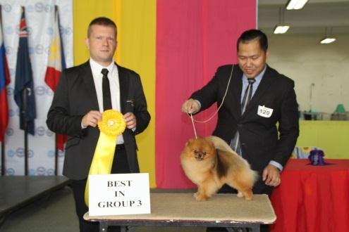 GROUP 1 (SIBERIAN HUSKY) PHIL HOF/INT CH DISCOVERY OF DOGHOUSE FARM (AUT) OWNER: WILLY C DY GROUP 2 (CHOW CHOW)