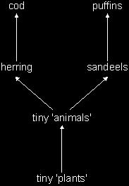 (b) Part of a food web in the North Sea is shown below. Herring, sandeels and cod are types of fish. Puffins are sea birds. Herring lay eggs in the gravel on the seabed.