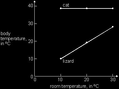 Q19. A vet measured the body temperatures of a cat and a