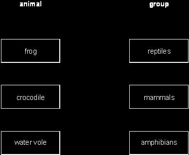 (d) Draw a line from each animal below to the group