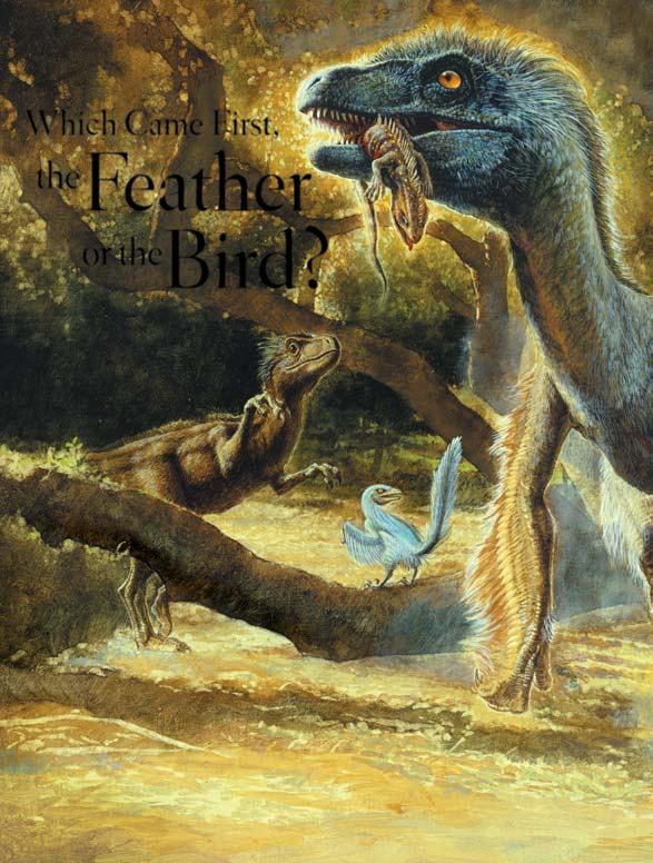 Which Came First, the Feather or the Bird? FEATHERS EVOLVED in carnivorous, bipedal dinosaurs before the origin of birds.