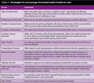 Table 3. Strategies to encourage increased water intake in cats.
