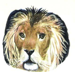 lion Look at the lion. He is a wild animal. He is called the king of animals, because he is so strong.