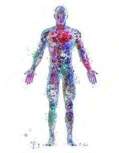 The microbiota :our forgotten organ Billions of bacteria inside and on the human body, referred to as the normal flora Weigh approximately two kilos