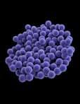 Technical Appendix Methicillin-Resistant Staphylococcus aureus (MRSA) Methods National estimates of the number of invasive MRSA healthcareassociated infections (HAIs) were derived from the Emerging