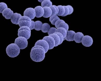 ERYTHROMYCIN-RESISTANT GROUP A STREPTOCOCCUS THREAT LEVEL CONCERNING This bacteria is concerning, and careful monitoring and prevention action are needed.