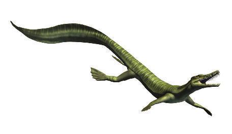 Supplement A: Phenomena Information Packet (2 of 6) Animal Fossils The Mesosaurus is an extinct reptile similar to a lizard. Scientists think this animal lived around 265 million years ago.