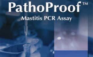 Real time PCR will change mastitis testing PathoProof TM Mastitis qpcr Assay