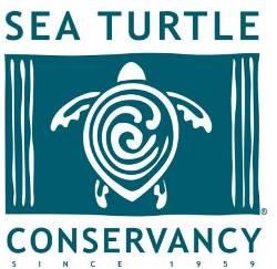 Sea Turtle Conservancy Background and Overview of Major Programs Introduction: The Sea Turtle Conservancy (formerly Caribbean Conservation Corporation) is the oldest sea turtle research and