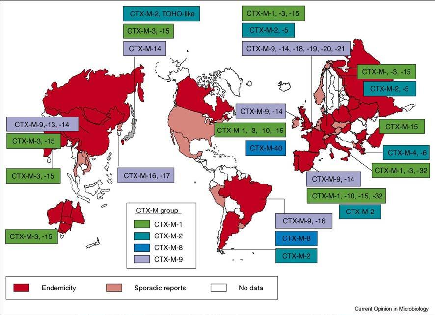 Global Prevalence ESBL CTX-M Strains