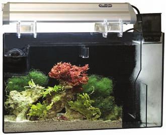 Provides a haven for injured fish or corals to regenerate damaged tissue without the need for a separate quarantine tank.