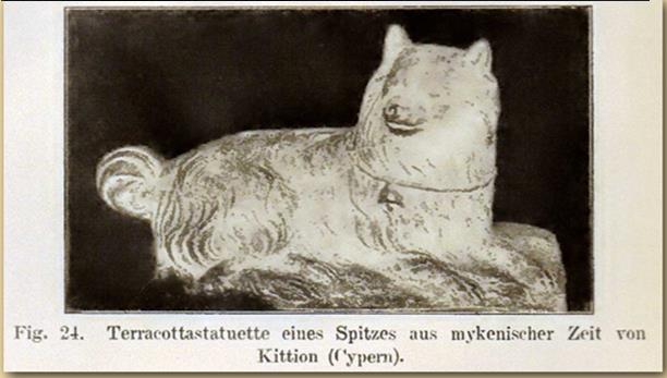 History of the American Eskimo Dog In the Neolithic or Late Stone Age, 4000-1900 B.