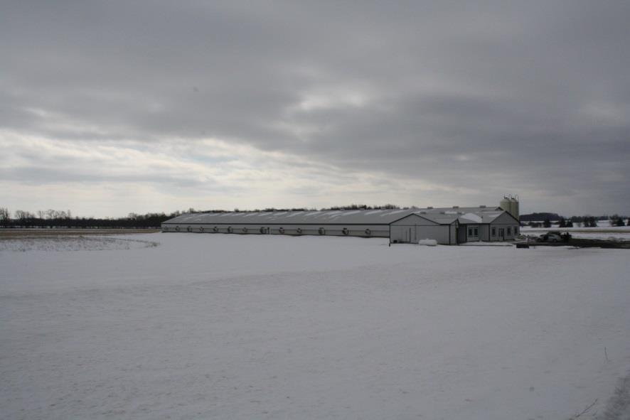 Dykstra's Poultry Farm (Thornton, ON) New barn with colony housing (45,000 hens); 6 rows, 3 tiers Equipped