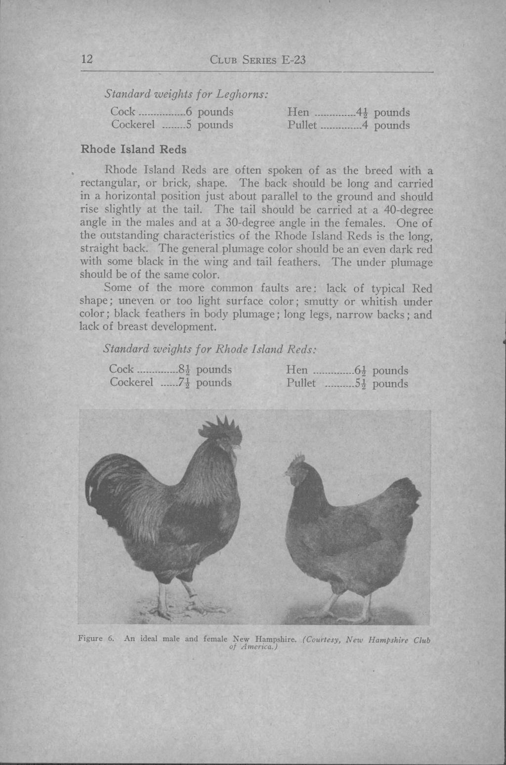12 CLUB SERIES E-23 Standard weights for Leghorns: Cock ----------------6 pounds Hen -------------- 4 pounds Cockerel -------- 5 pounds Pullet -------------- 4 pounds Rhode Island Reds Rhode Island